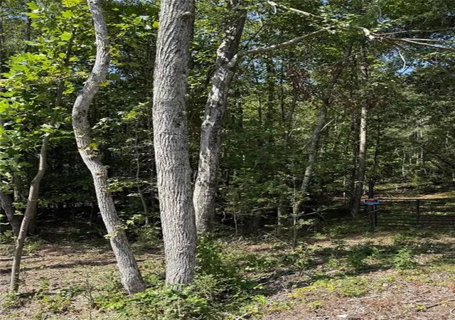 Photo 2 of Land for sale at 0 Ga Hwy 92 & 166, Douglasville, GA 30135 | MLS# 7833846 | Listing updated on 2026-09-08