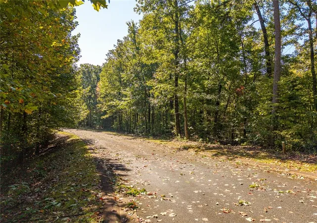 Photo 2 of Land for sale at Lot 22 Abbott Ml Rd, Ellijay, GA 30540 | MLS# 7853793 | Listing updated on 2026-10-20
