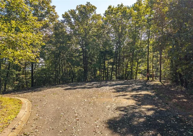 Photo 3 of Land for sale at Lot 22 Abbott Ml Rd, Ellijay, GA 30540 | MLS# 7853793 | Listing updated on 2026-10-20