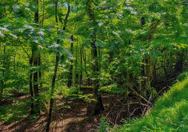 Photo 2 of Land for sale at Lt 101 Gateway Dr, Ellijay, GA 30540 | MLS# 7839620 | Listing updated on 2026-10-27