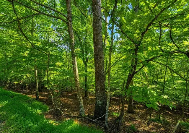 Photo 3 of Land for sale at Lt 101 Gateway Dr, Ellijay, GA 30540 | MLS# 7839620 | Listing updated on 2026-10-27