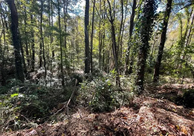 Photo 3 of Land for sale at 1060 De Leon Dr, Clarkston, GA 30021 | MLS# 7834732 | Listing updated on 2026-09-10