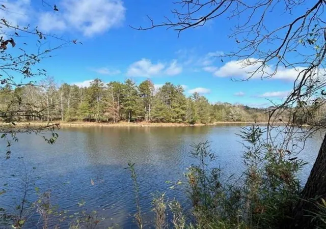 Photo 4 of Land for sale at 00 Sawtooth Pl, Carnesville, GA 30521 | MLS# 7718692 | Listing updated on 2026-09-01