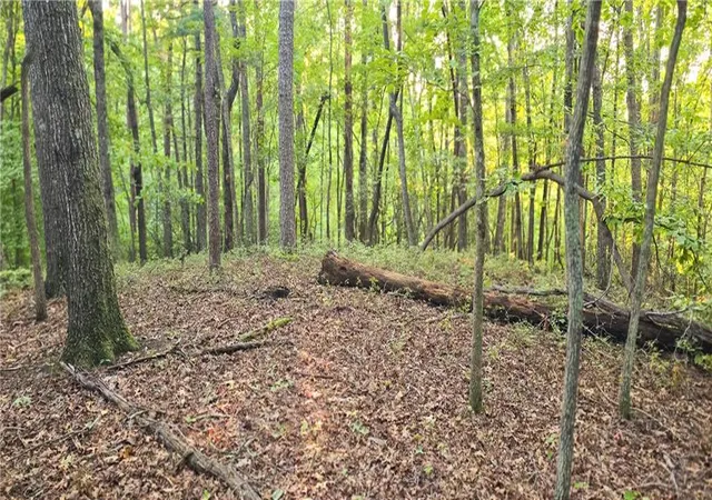 Photo 1 of Land for sale at 0 Seye Wailo Trl, Clarkesville, GA 30523 | MLS# 7841360 | Listing updated on 2026-09-23