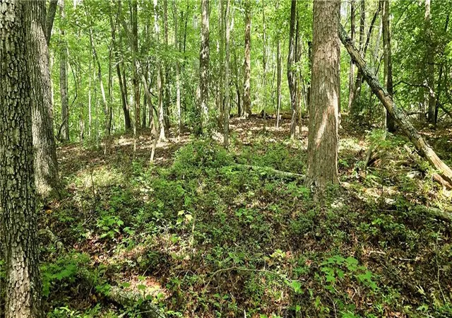 Photo 2 of Land for sale at 0 Seye Wailo Trl, Clarkesville, GA 30523 | MLS# 7841360 | Listing updated on 2026-09-23