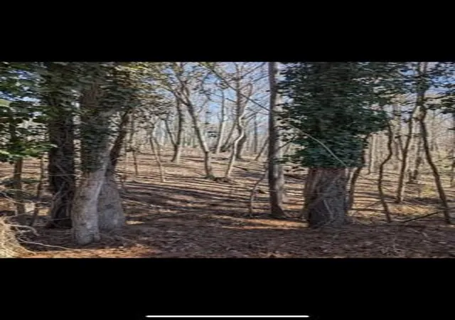 Photo 3 of Land for sale at 3216 Boulder Brk Dr, Lithonia, GA 30038 | MLS# 7830257 | Listing updated on 2026-09-02
