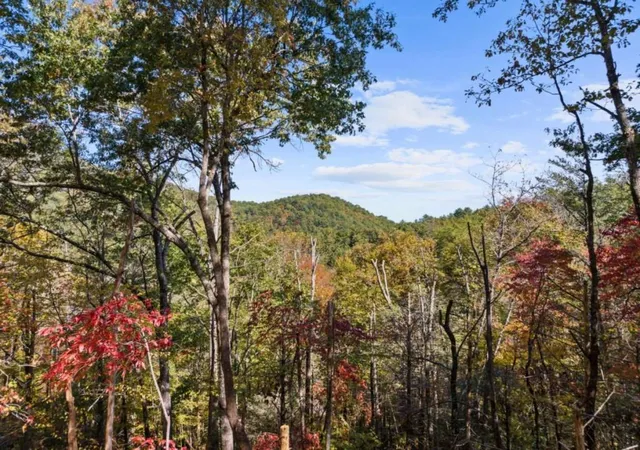 Photo 3 of Single family home for sale at Lot 8 Butler Crk Rd, Cherry Log, GA 30522 | MLS# 7860047 | Listing updated on 2026-10-28