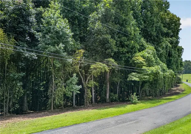 Land for sale at 0 Henry Turner Trl, Ball Ground, GA 30107 | MLS# 7833419
