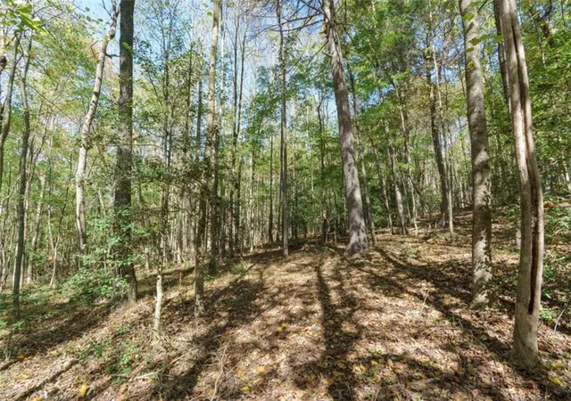 Photo 2 of Land for sale at 140 Highpoint Ridge Ct, Ellijay, GA 30536 | MLS# 7856819 | Listing updated on 2026-10-20