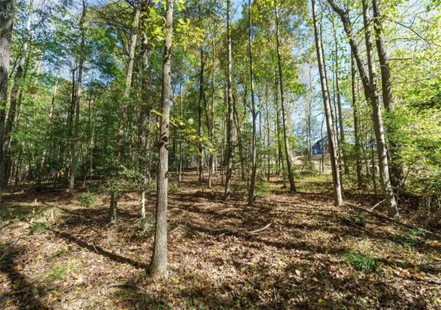 Photo 3 of Land for sale at 140 Highpoint Ridge Ct, Ellijay, GA 30536 | MLS# 7856819 | Listing updated on 2026-10-20
