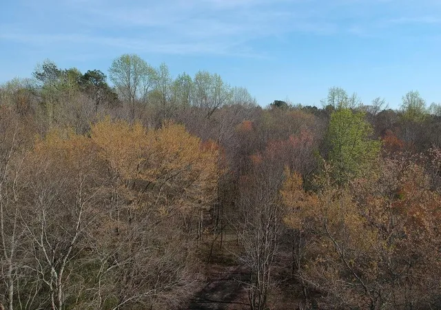 Photo 3 of Land for sale at 0 Cobb Rd, Covington, GA 30014 | MLS# 7837874 | Listing updated on 2026-10-05