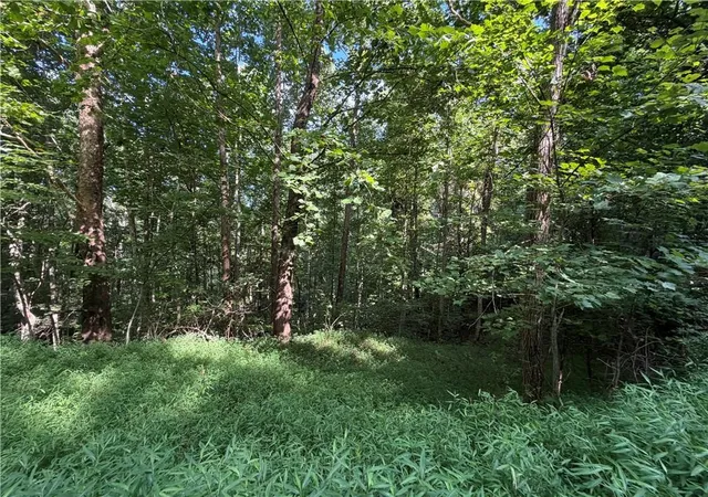 Photo 3 of Land for sale at 4 Ml Ridge Rd, Hiawassee, GA 30546 | MLS# 7816582 | Listing updated on 2026-09-03