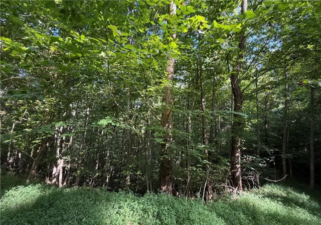 Photo 3 of Land for sale at 4 Ml Ridge Rd, Hiawassee, GA 30546 | MLS# 7816582 | Listing updated on 2026-09-03