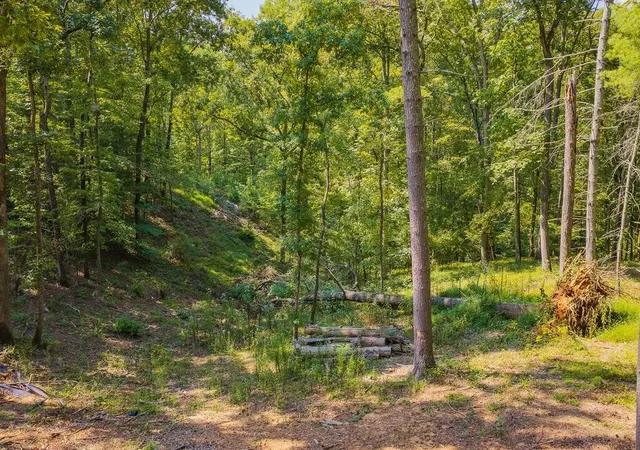 Photo 2 of Land for sale at 0 Lower Knoll Ct, Talking Rock, GA 30175 | MLS# 7844729 | Listing updated on 2026-09-26