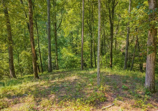 Photo 3 of Land for sale at 0 Lower Knoll Ct, Talking Rock, GA 30175 | MLS# 7844729 | Listing updated on 2026-09-26