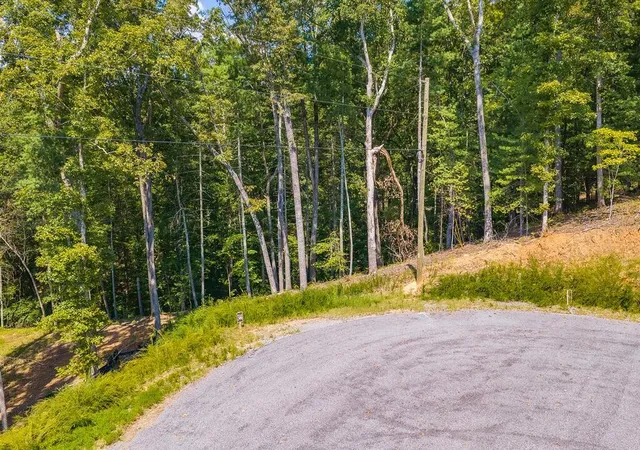 Photo 3 of Land for sale at 0 Lower Knoll Ct, Talking Rock, GA 30175 | MLS# 7844729 | Listing updated on 2026-09-26