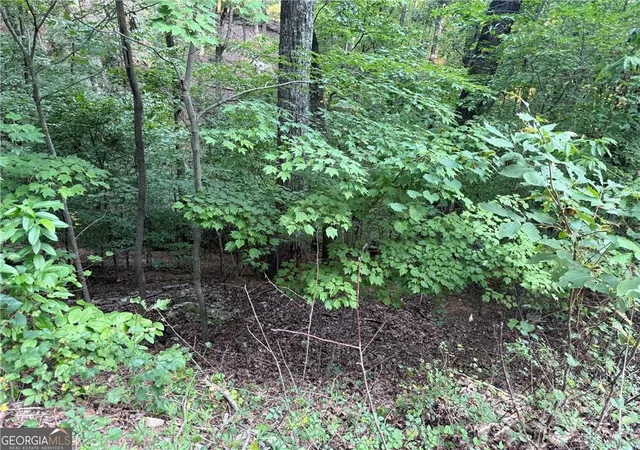 Photo 2 of Land for sale at 2329 Frd White Rd, Gainesville, GA 30506 | MLS# 7851824 | Listing updated on 2026-10-10