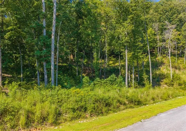 Photo 3 of Land for sale at Lot 11 Lake Top Ln, Ellijay, GA 30536 | MLS# 7843944 | Listing updated on 2026-09-25