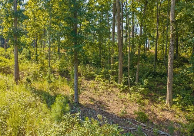 Photo 4 of Land for sale at Lot 11 Lake Top Ln, Ellijay, GA 30536 | MLS# 7843944 | Listing updated on 2026-09-25