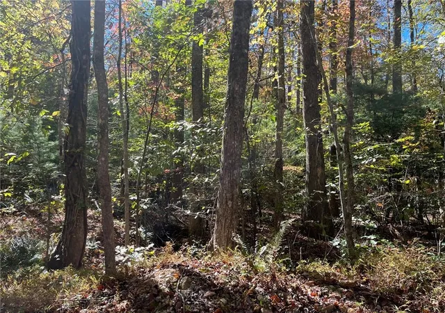 Photo 3 of Land for sale at 0 Little Mountain Rd, Dahlonega, GA 30533 | MLS# 7833922 | Listing updated on 2026-09-08