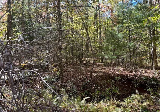 Photo 6 of Land for sale at 0 Little Mountain Rd, Dahlonega, GA 30533 | MLS# 7833922 | Listing updated on 2026-09-08