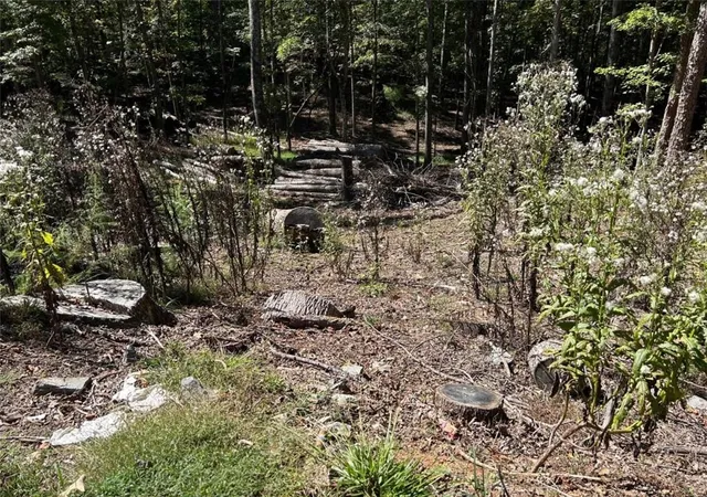 Photo 2 of Land for sale at Lt 533 Eagle Mountain Dr, Ellijay, GA 30540 | MLS# 7846946 | Listing updated on 2026-10-01