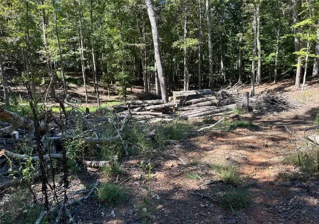 Photo 3 of Land for sale at Lt 533 Eagle Mountain Dr, Ellijay, GA 30540 | MLS# 7846946 | Listing updated on 2026-10-01