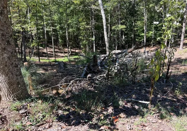 Photo 4 of Land for sale at Lt 533 Eagle Mountain Dr, Ellijay, GA 30540 | MLS# 7846946 | Listing updated on 2026-10-01