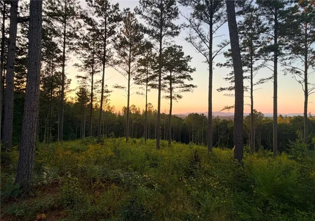 Photo 1 of Land for sale at 0 Lacey Springs Ln, Ellijay, GA 30540 | MLS# 7835929 | Listing updated on 2026-09-11