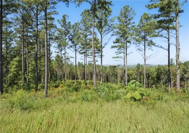 Photo 2 of Land for sale at 0 Lacey Springs Ln, Ellijay, GA 30540 | MLS# 7835929 | Listing updated on 2026-09-11