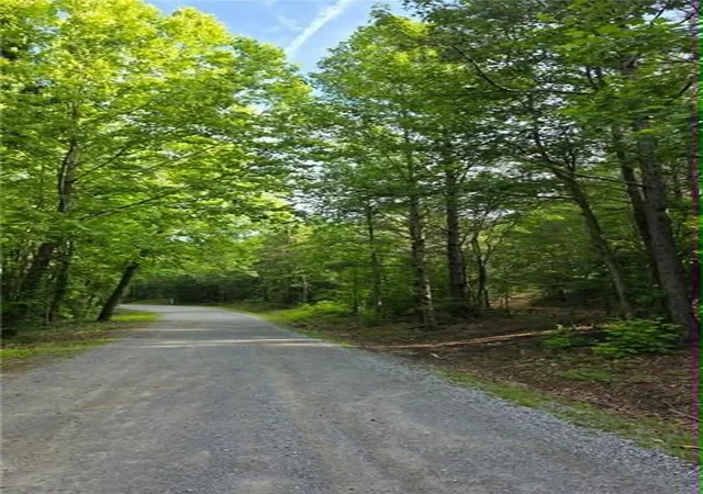 Photo 2 of Land for sale at 00 Lucas Ln, Dallas, GA 30132 | MLS# 7791529 | Listing updated on 2026-09-19