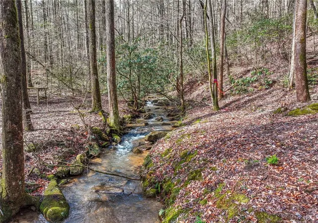 Photo 2 of Single family home for sale at 641 Bryant Farm Ln, Ellijay, GA 30540 | MLS# 7832407 | Listing updated on 2026-09-04