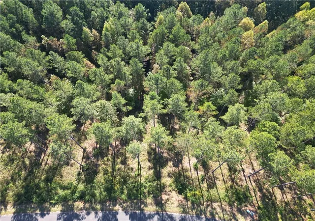 Photo 3 of Land for sale at 0 Lacey Springs Ln, Ellijay, GA 30540 | MLS# 7850955 | Listing updated on 2026-10-23