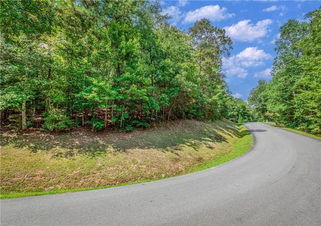 Photo 4 of Land for sale at Lt104 Mountain Crk Holw Dr, Talking Rock, GA 30175 | MLS# 7844494 | Listing updated on 2026-09-25