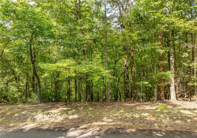 Photo 1 of Land for sale at Lt 272 Seneca Dr, Ellijay, GA 30540 | MLS# 7848448 | Listing updated on 2026-10-03