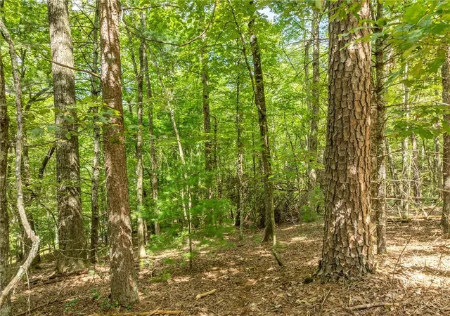 Photo 4 of Land for sale at Lt 272 Seneca Dr, Ellijay, GA 30540 | MLS# 7848448 | Listing updated on 2026-10-03