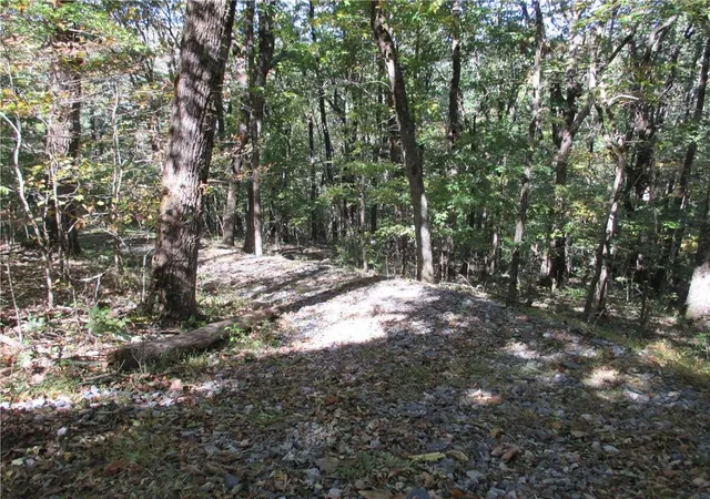 Photo 4 of Land for sale at Lot 54 High Clifff Rd, Jasper, GA 30143 | MLS# 7858180 | Listing updated on 2026-10-23