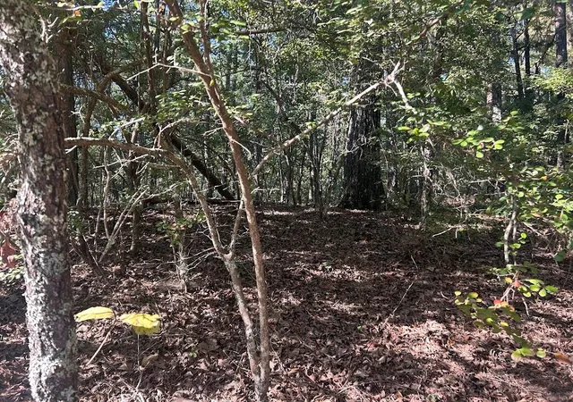 Land for sale at 0 Springer Rd, Whitesburg, GA 30185 | MLS# 7830449