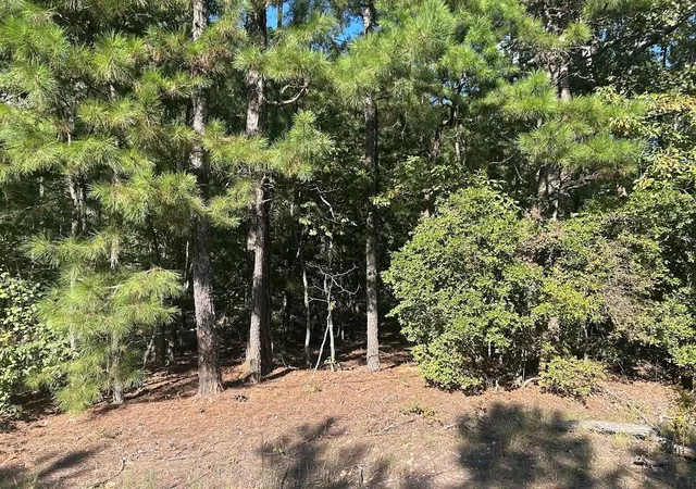 Photo 2 of Land for sale at 0 Springer Rd, Whitesburg, GA 30185 | MLS# 7830449 | Listing updated on 2026-09-02