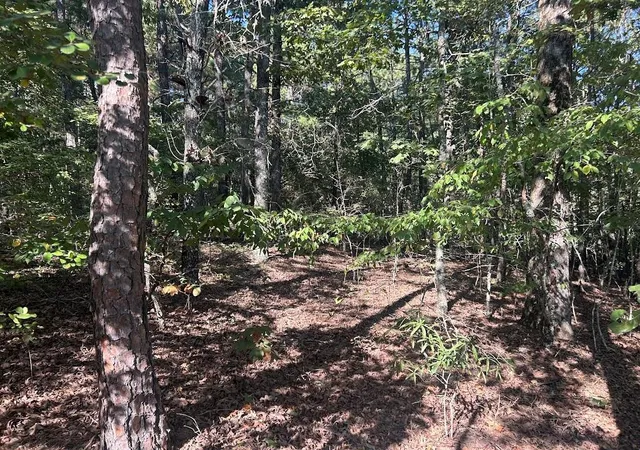 Photo 3 of Land for sale at 0 Springer Rd, Whitesburg, GA 30185 | MLS# 7830449 | Listing updated on 2026-09-02