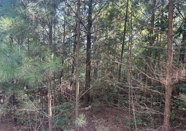 Photo 3 of Land for sale at 0 Springer Rd, Whitesburg, GA 30185 | MLS# 7830449 | Listing updated on 2026-09-02