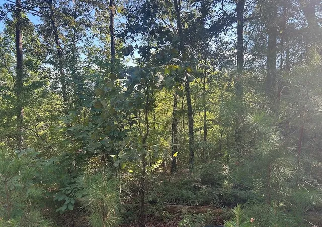 Photo 4 of Land for sale at 0 Springer Rd, Whitesburg, GA 30185 | MLS# 7830449 | Listing updated on 2026-09-02