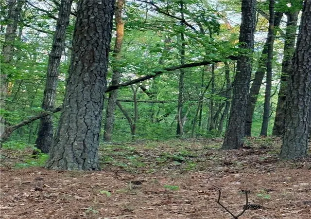 Photo 2 of Sale Pending at Lot 7b Pea Ridge Rd, Marble Hill, GA 30148 | MLS# 7841235 | Listing updated on 2026-10-08