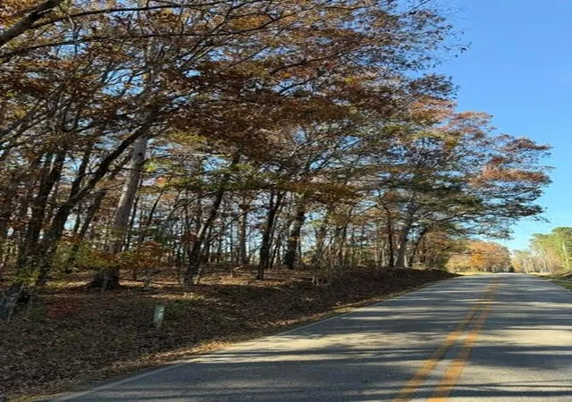 Photo 3 of Land for sale at 0 Adams Rd, Covington, GA 30014 | MLS# 7844942 | Listing updated on 2026-09-26