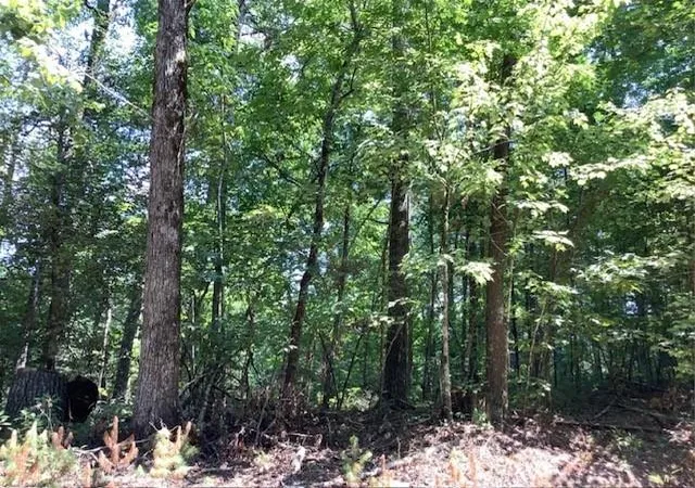 Photo 1 of Land for sale at 0 William Sluder Rd, Ellijay, GA 30540 | MLS# 7838275 | Listing updated on 2026-09-16