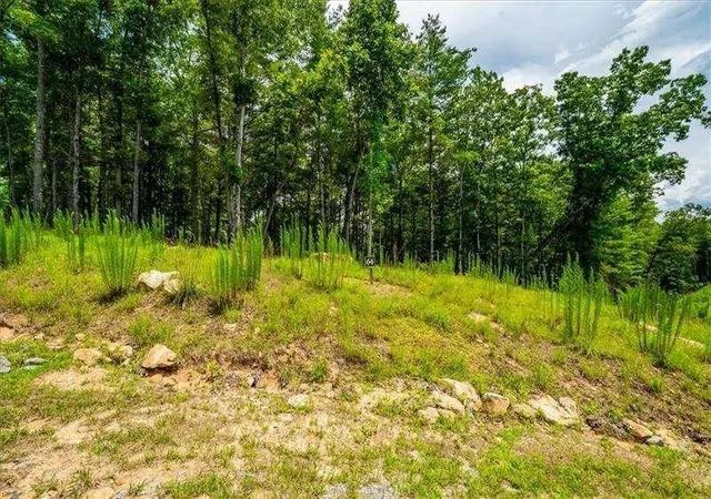 Photo 3 of Land for sale at 0 Ridge Dr, Morganton, GA 30560 | MLS# 7834552 | Listing updated on 2026-09-09