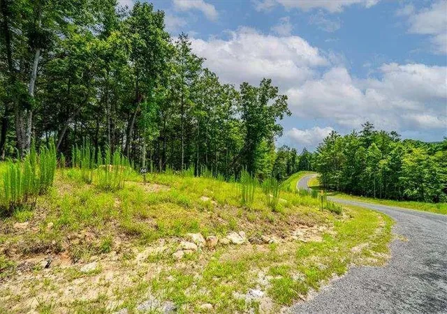 Photo 4 of Land for sale at 0 Ridge Dr, Morganton, GA 30560 | MLS# 7834552 | Listing updated on 2026-09-09