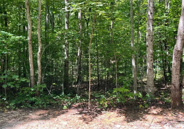 Photo 1 of Land for sale at Lot 7 Forest Canopy Way, Clayton, GA 30525 | MLS# 7833031 | Listing updated on 2026-09-05