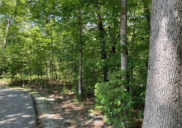 Photo 3 of Land for sale at Lot 7 Forest Canopy Way, Clayton, GA 30525 | MLS# 7833031 | Listing updated on 2026-09-05