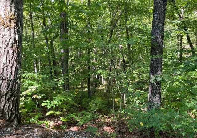 Photo 4 of Land for sale at Lot 7 Forest Canopy Way, Clayton, GA 30525 | MLS# 7833031 | Listing updated on 2026-09-05